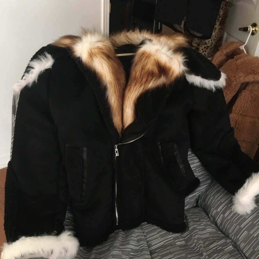 Winter fall unisex suede please line 4 for a collar size 5X